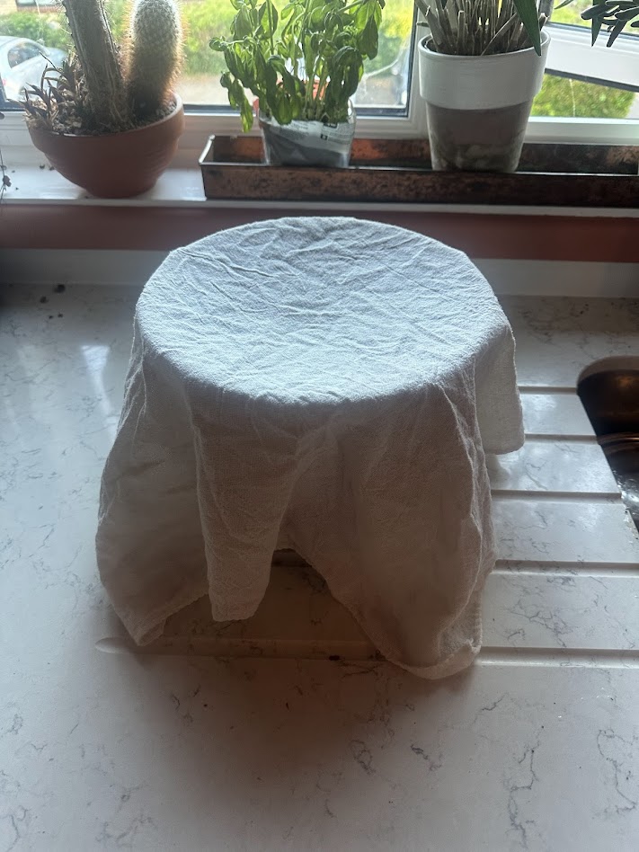 Covered with muslin, fermenting on the windowsill